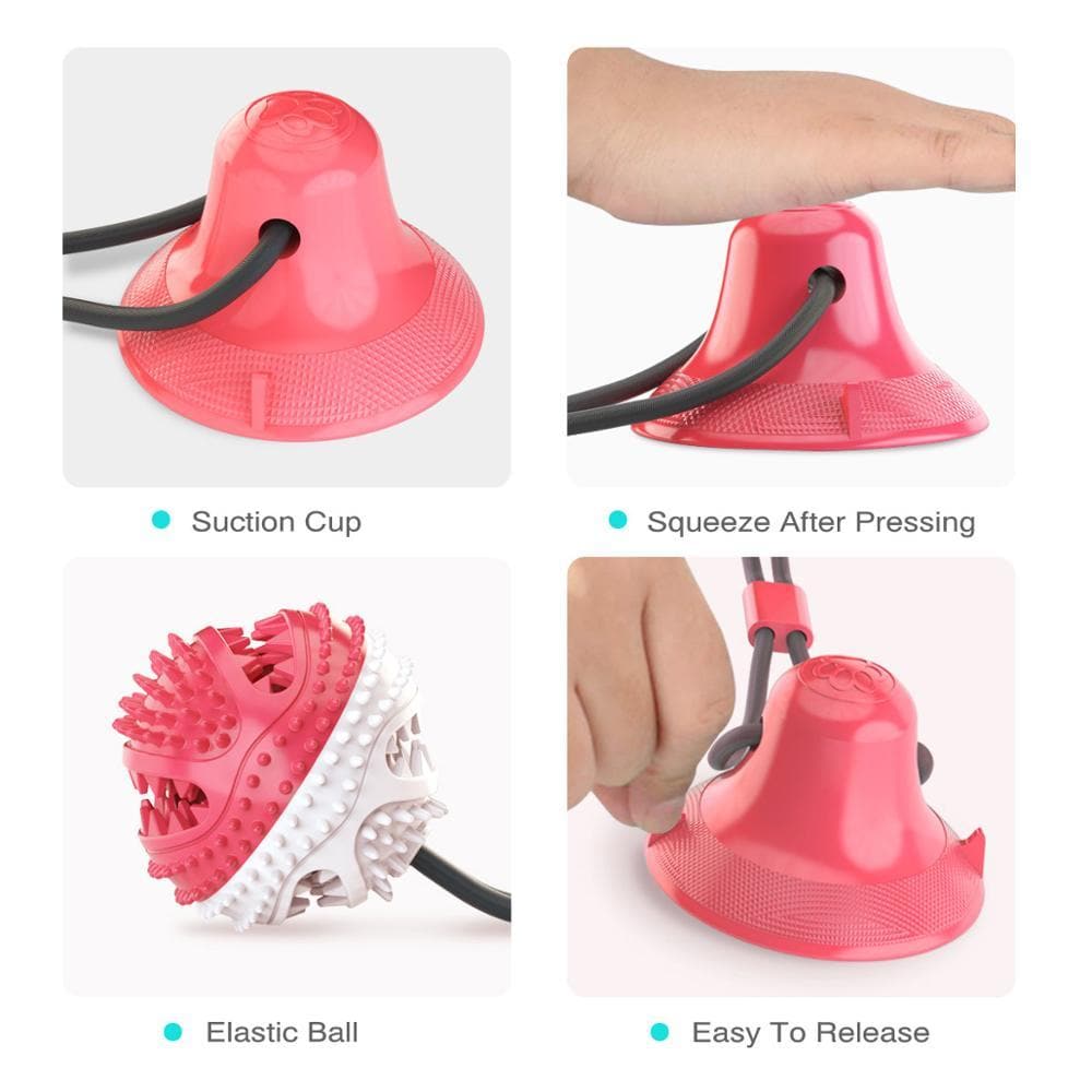 Pet Toy Alivia Estresse e Limpa os Dentes dos Cães